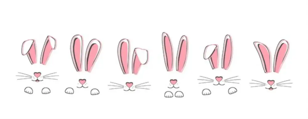 Draw A Bunny Face