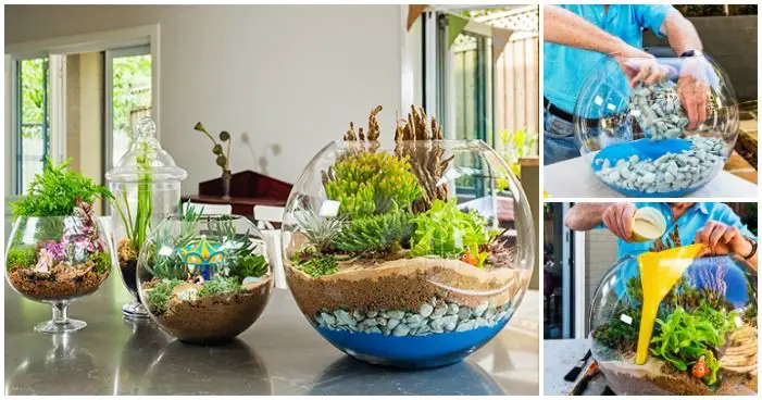 DIY Terrarium: Ideas on How to Make and Decorate It in an Original Way
