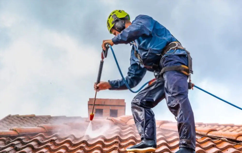 Different Types of Roof Cleaners