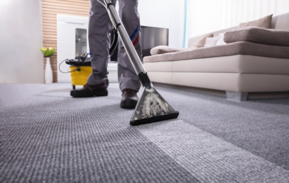 Remove Pet Hair From Carpets